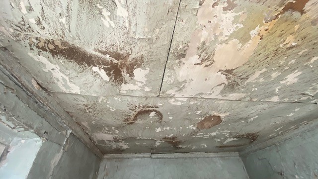 Торги №1389175 Лот №3529509 Объект аренды, площадь 21,50 кв. м. - торги по банкротству 4